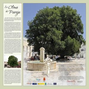 Pareja embellece y completa progresivamente el Parque de la Olma Vieja