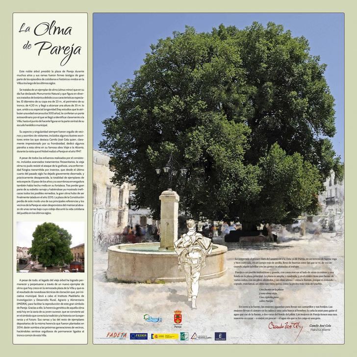 Pareja embellece y completa progresivamente el Parque de la Olma Vieja