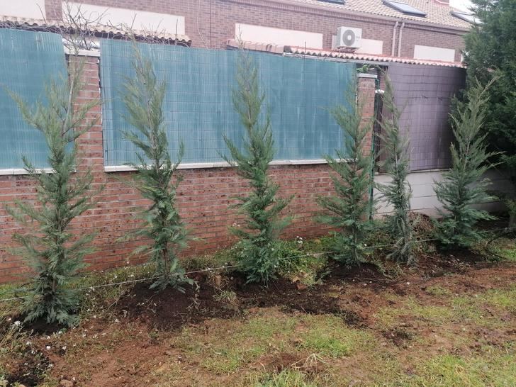 Comienzan los trabajos para la remodelación de varios parques en Villanueva de la Torre