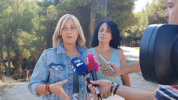 Carmen Picazo exige a la Junta que aclare si firmó contratos ilícitos con el 'cártel del fuego'