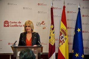 Picazo (Cs): Hace tiempo que Page agotó su crédito: nadie le compra ya su chatarra electoral