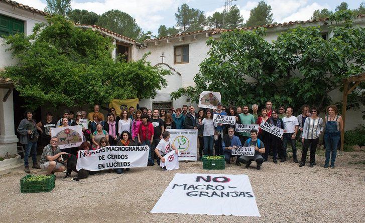 La Plataforma Stop Macrogranjas de la Comarca de Molina une fuerzas con más de 30 plataformas vecinales y organizaciones, contra la ganadería industrial