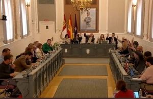 El PSOE de Rojo vuelve a bloquear otra propuesta del PP para mejorar la accesibilidad de las instalaciones municipales de Guadalajara