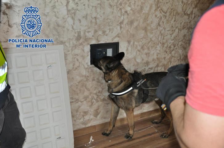 La Policía Nacional desarticula un importante grupo criminal que distribuía cocaína de gran pureza en Puertollano