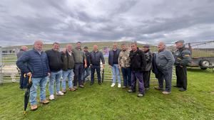 El Grupo Popular de la Diputación apoya las reivindicaciones de los ganaderos de la Sierra Norte