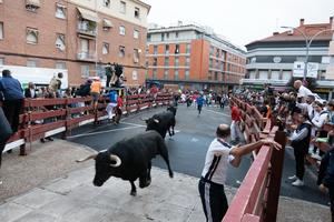 Escasa asistencia de corredores y de público en el Primer Encierro de las Ferias y Fiestas de Guadalajara con 4 heridos trasladados al Hospital 