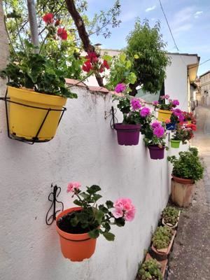 Remedios Iruela, premio a la mejor fachada floral de Cogolludo en 2023
