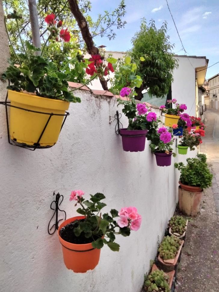 Remedios Iruela, premio a la mejor fachada floral de Cogolludo en 2023