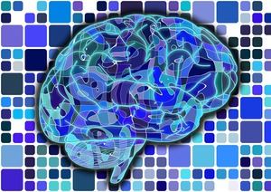 Programación Centro Ibercaja Guadalajara: semana 15 de octubre