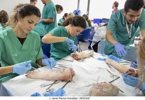 Curso-taller de sutura en el Hospital Universitario de Guadalajara
