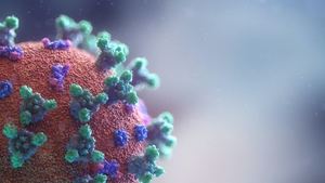 De los 303 nuevos casos de coronavirus detectados este jueves en la Castilla La Mancha, 74 son de Guadalajara