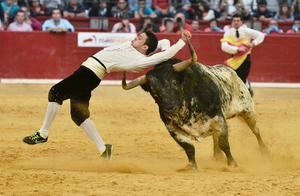 Almoguera acogerá este domingo el primer festejo taurino del año