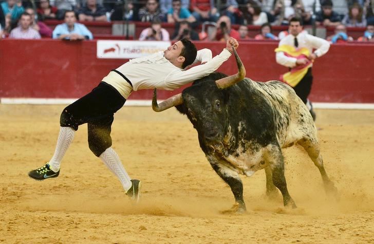 Almoguera acogerá este domingo el primer festejo taurino del año