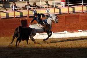 Cinco orejas y dos rabos en el festejo de rejones de Sigüenza