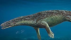 Descubren un reptil que vivió en el pantano El Atance de Sigüenza hace 230 millones de años