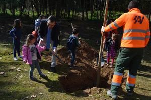 El alcalde de Guadalajara participa en una nueva plantación de árboles promovida por el Ayuntamiento