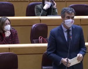 Román en el Senado : Trabajen para controlar la pandemia y tener una Navidad segura, no solo para seguir en el poder