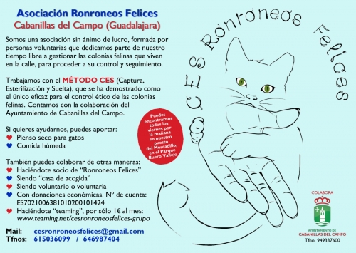 La asociación que controla las colonias felinas en Cabanillas estará presente en el Mercadillo de los viernes