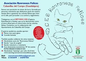 La asociación que controla las colonias felinas en Cabanillas estará presente en el Mercadillo de los viernes