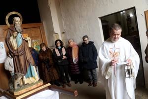 Cogolludo pone en valor sus tradiciones de San Antón
