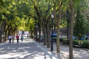 Clasificadas ocho ofertas para la nueva contrata de parques y jardines de Guadalajara