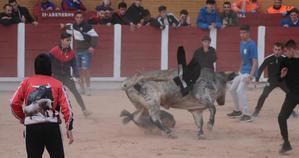 El segundo encierro de las Ferias de Guadalajara transcurre sin incidencias de gravedad