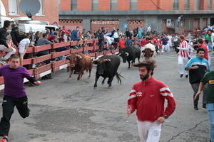 Tres heridos en el Segundo Encierro de las Ferias de Guadalajara, uno por asta de toro con desgarro en el escroto