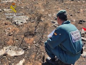 El SEPRONA investiga a una persona como supuesto autor del incendio forestal de Yunquera de Henares