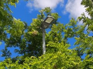 Sigüenza cuenta con 113 nuevas razones para ser más eficiente energéticamente