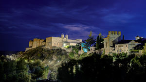 Vivaces, nueva alianza empresarial para visibilizar el potencial del medio rural firma su manifiesto fundacional en Sigüenza