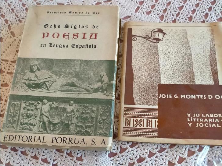 LETRAS VIVAS SEGUNTINAS : Recogiendo del aire unas voces