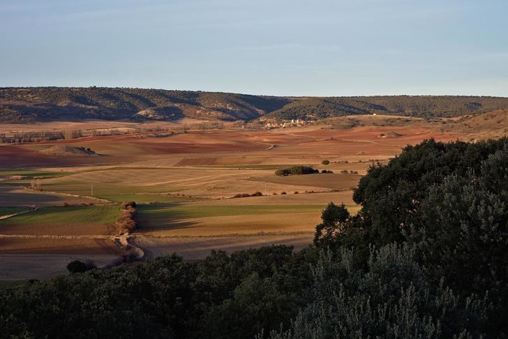 Letras vivas seguntinas : Sierra Ministra