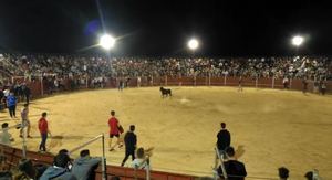 Lleno total para la suelta nocturna de vaquillas en la Plaza de Toros de Cabanillas