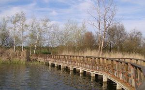 Este lunes se constituye el grupo de trabajo entre el Gobierno de España y el de Castilla-La Mancha encargado del marco de actuaciones para la recuperación del Parque Nacional de las Tablas de Daimiel