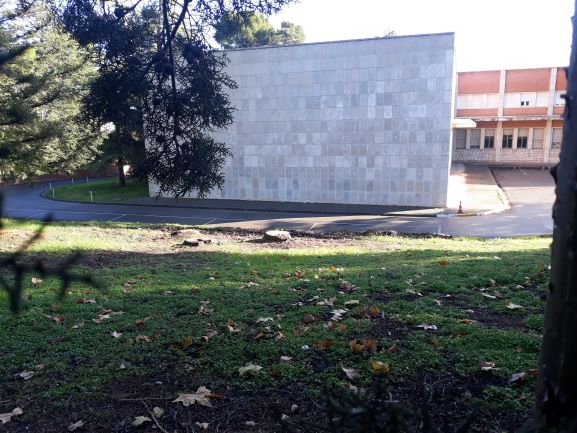 El nuevo Campus Universitario de Guadalajara comienza talando árboles 