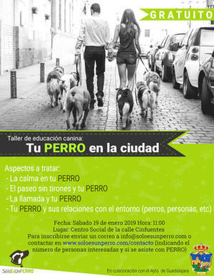 El s&#225;bado 19 de enero, nuevo taller de educaci&#243;n canina en Guadalajara