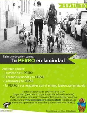 Todav&#237;a quedan plazas para los talleres de cultivo en macetas y adiestramiento canino en Guadalajara