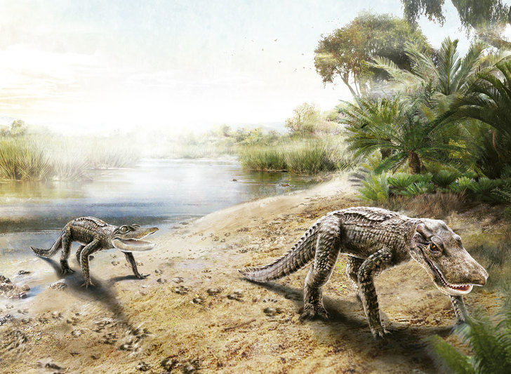 Infografía : Anyforms Design