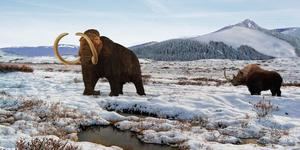 UAH y Ayuntamiento impulsan un ciclo de conferencias para divulgar el patrimonio arqueológico de Tamajón