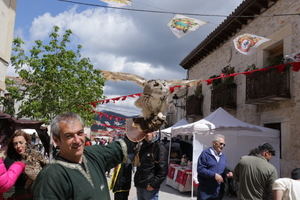 Este fin de semana, nueva edición del Mercado Medieval de Tamajón