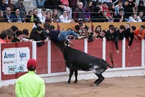 Tres heridos leves por puntazos y varetazos de toro en el Tercer Encierro de Guadalajara y seis heridos por el toro...de fuego