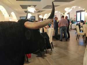 Gran éxito de la I Edición de 