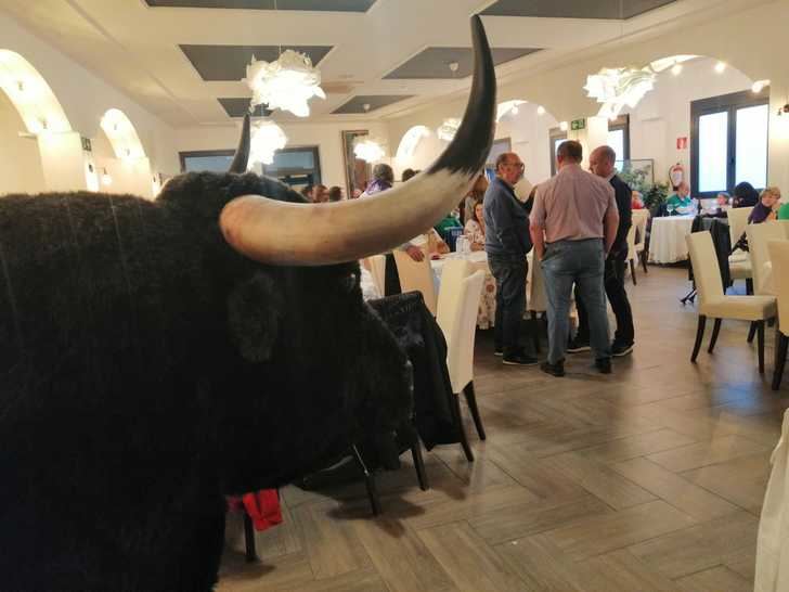 Gran éxito de la I Edición de 