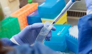 De los 42 nuevos casos de coronavirus por PCR de este viernes en Castilla La Mancha, 16 son de Guadalajara