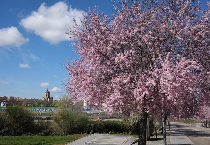 Foto : EDUARDO BONILLA