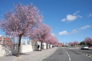 El calor extremo llegará a su máximo el sábado con más de 35 grados en casi 30 capitales