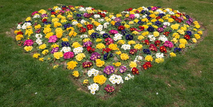 Foto : EDUARDO BONILLA