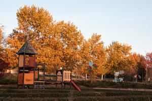 Últimas horas de veranillo de San Martín antes de un desplome de la temperatura