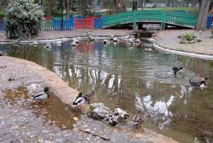 La Aemet pronostica una semana más fría de lo normal para la época del año en casi toda España