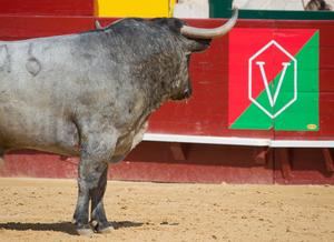 Los toros de D. Adolfo Martín Andrés vuelven a Guadalajara para la Feria Chica 2023